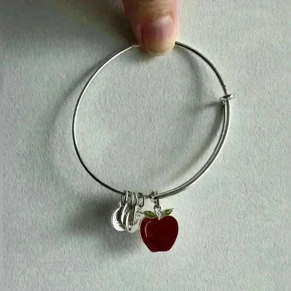 Teacher Red Apple  Silver Bangle Braclet Accessory Gift Jewelry Fashion Mentor - Picture 6 of 6
